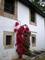 03. Comillas